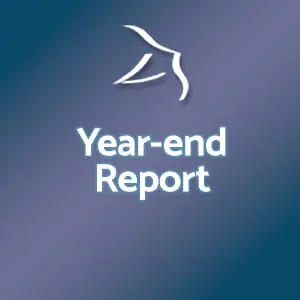 year end report blue